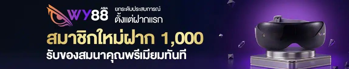 โปรโมชั่น1